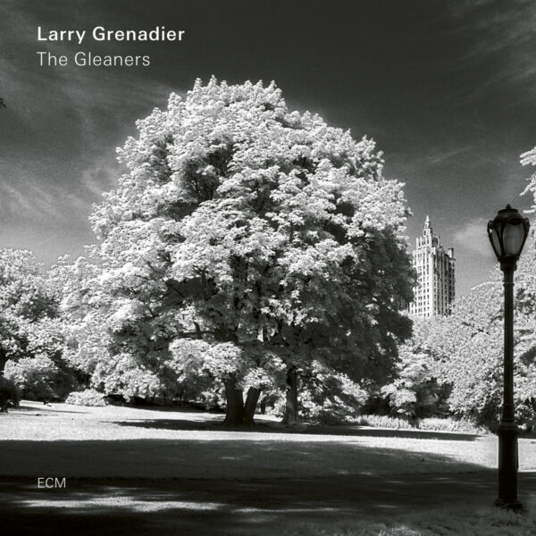 Audio Elite Larry Grenadier ‎– The Gleaners