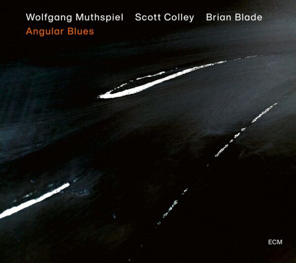 Audio Elite Wolfgang Muthspiel, Scott Colley, Brian Blade ‎– Angular Blues